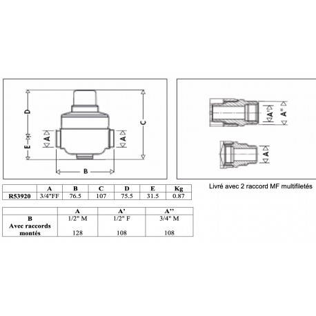 Réducteur de pression NF - 539 - THERMADOR R53920