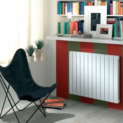 Radiateur chauffage central ACOVA - FASSANE Horizontal double à éléments verticaux 546W HXD-060-051