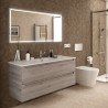 Meuble de salle de bain MONTERREY 1200 2 tiroirs métalliques PIN BAHÍA 1197 x 540 x 450 mm - SALGAR 23941 