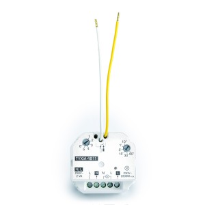 TYXIA 4811 Récepteur 10 Ampères marche/arrêt + minuterie 