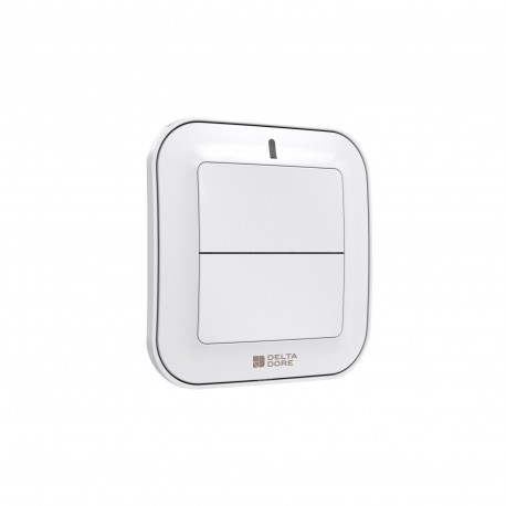 TYXIA 2310 Interrupteur sans fil pour éclairages ou automatismes 