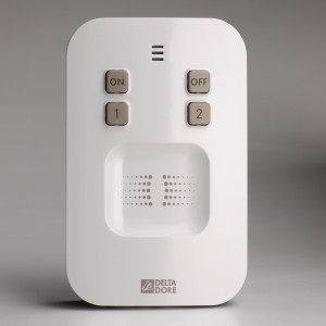 Lecteur de badges Radio - LB 2000 TYXAL+ Delta Dore 6413254 