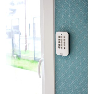 Clavier à touches Radio - CLS 8000 TYXAL+ Delta Dore 6413253 