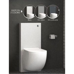 Cuvette suspendue avec broyeur intégré - WATERMATIC W40SP Silence