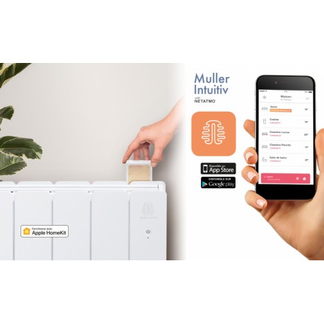 Radiateur Fonte NOIROT BELADOO 1000W horizontal gris anthracite connecté NEN1683SEHS