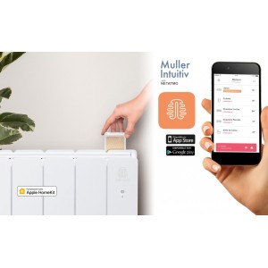 Radiateur Fonte NOIROT BELADOO 1000W Bas gris anthracite connecté NEN1703SEHS