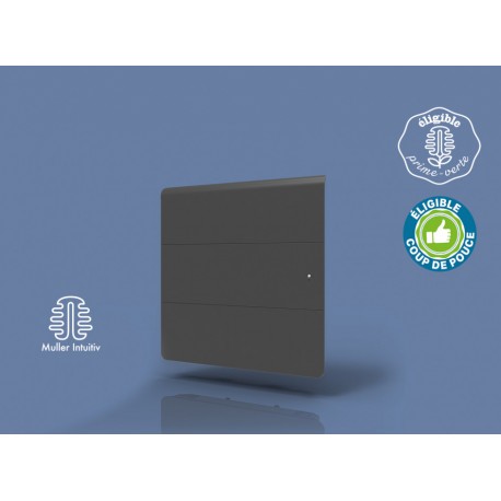 Radiateur Fonte INTUIS AXOO 2000W horizontal gris anthracite connecté NEN3077SEHS