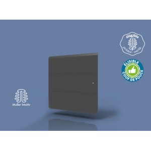 Radiateur Fonte INTUIS AXOO 2000W horizontal gris anthracite connecté NEN3077SEHS