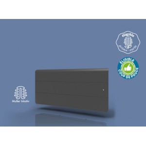 Radiateur Fonte INTUIS AXOO 1500W Bas Gris anthracite connecté NEN3095SEHS