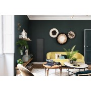 Radiateur Fonte INTUIS AXOO 1500W Vertical Gris anthracite connecté NEN3085SEHS