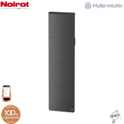 Radiateur Fonte NOIROT AXOO 1500W vertical Gris anthracite connecté NEN3085SEHS