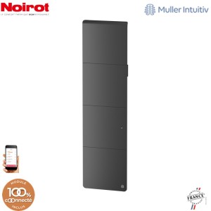 Radiateur Fonte NOIROT AXOO 1500W vertical Gris anthracite connecté NEN3085SEHS