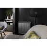 Radiateur Fonte NOIROT CALIDOO 750W horizontal Gris anthracite connecté NEN3012SEHS