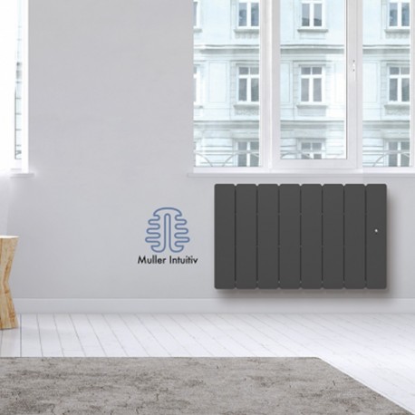 Radiateur Fonte NOIROT BELADOO 1000W Bas gris anthracite connecté NEN1703SEHS 