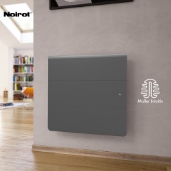 Radiateur Fonte NOIROT AXOO 750W horizontal gris anthracite connecté NEN3072SEHS 