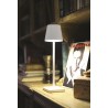 Lampe d'intérieur LED portable LIEVO, Blanc USB 5V - 4739 BENEITO FAURE