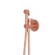 Kit Wc Mitigeur Ec-Ef Encastre Or Rose Brossé - WJ67034P CRISTINA ONDYNA