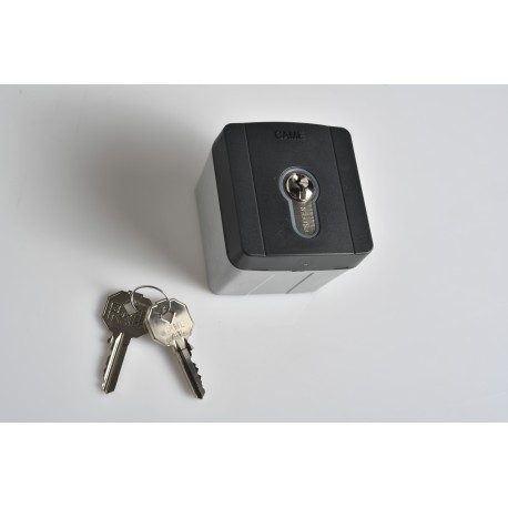 Sélecteur à clé d'extérieur avec rétroéclairage bleu et cylindre serrure DIN. Gris RAL7024 CAME 806SL-0050 