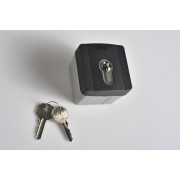 Sélecteur à clé d'extérieur avec rétroéclairage bleu et cylindre serrure DIN. Gris RAL7024 CAME 806SL-0050 