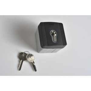 Sélecteur à clé d'extérieur avec rétroéclairage bleu et cylindre serrure DIN. Gris RAL7024 CAME 806SL-0050 