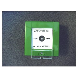 Bris de glace vert 1XNO/NF CAME FR0167 