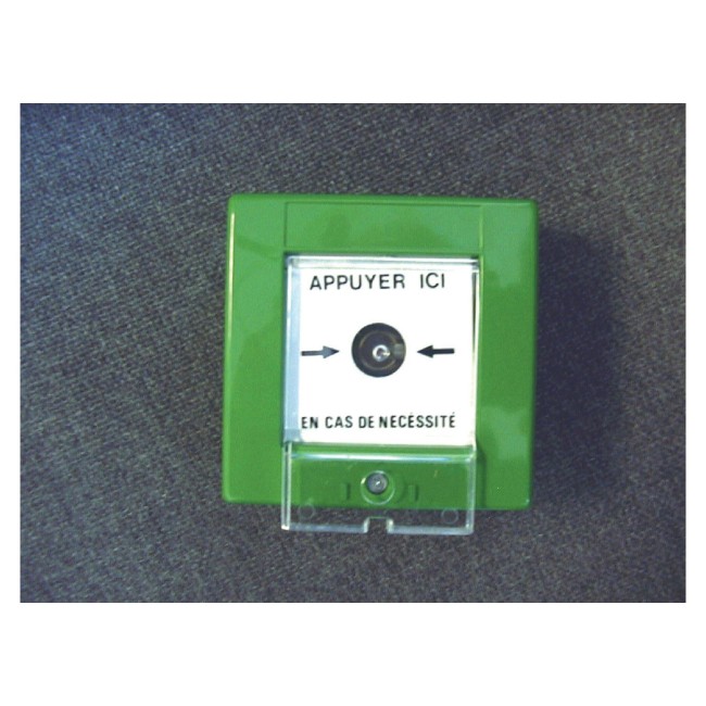 Bris de glace vert 1XNO/NF CAME FR0167 