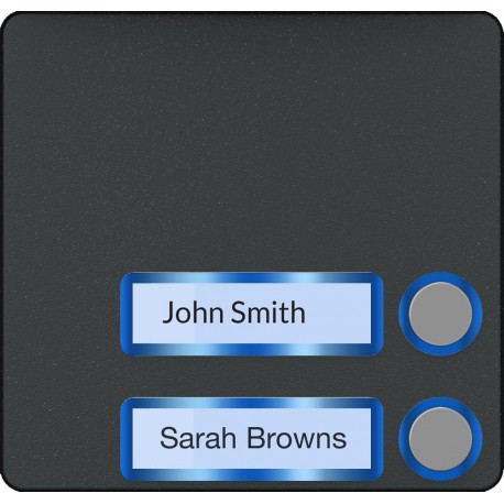 MTMF2PVR - Façade pour module appels avec 2 boutons, version VR CAME 60020660 