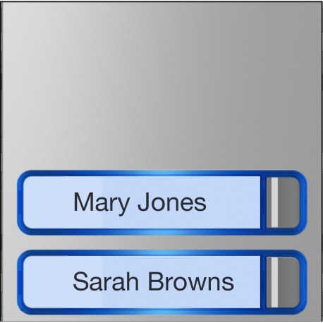 MTMF2P - Façade pour module appels avec 2 boutons CAME 60020110 