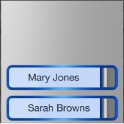MTMF2P - Façade pour module appels avec 2 boutons CAME 60020110 