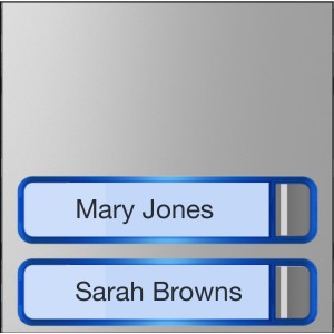 MTMF2P - Façade pour module appels avec 2 boutons CAME 60020110 