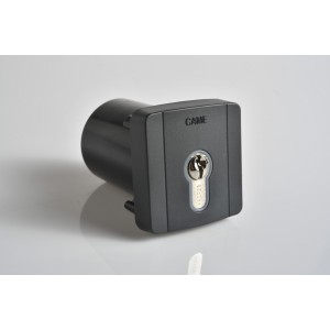 Sélecteur à clé d'extérieur avec rétroéclairage bleu et cylindre serrure DIN. Gris RAL7024 CAME 806SL-0060 