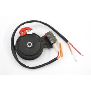 Groupe fin de course mécanique - BX-243 CAME RIBX041 