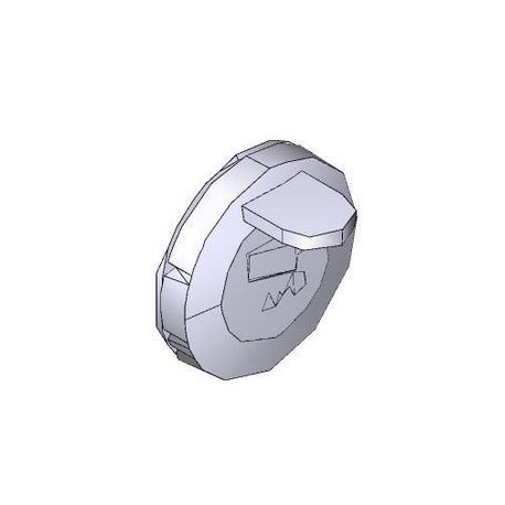 Bouchon pour serrure - FAST CAME RID223 