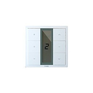 Temporisateur radio 433,92MHz 5 canaux coloris blanc CAME YE0166 