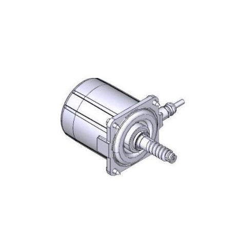Groupe moteur - FROG-AL CAME RIA063 