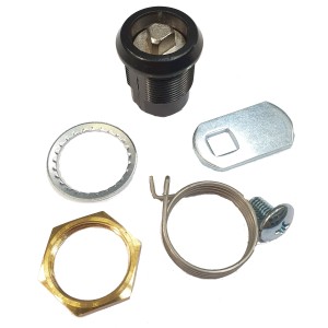 Serrure - OPS001 CAME RIB010 