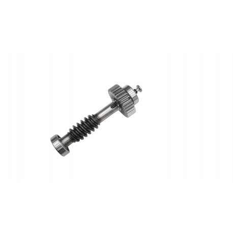 Couronne et vis sans fin - FAST CAME RID228 