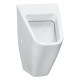 Vila Urinoir A Effet Siphonique, Ss Couvercle, Blc Blanc - LAUFEN H8411420000001