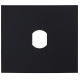 Façade finition noire satinée pour module VIGIK 200443 - AIPHONE GFBP2B