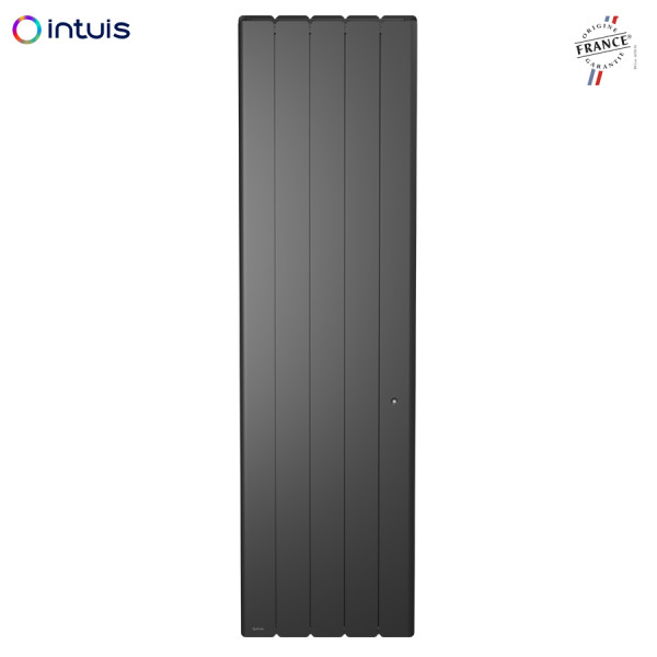 Radiateur electrique Intuis Beladoo Nativ 1500W vertical gris M153225