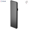 Radiateur Fonte NOIROT BELADOO Nativ 2000W Vertical gris anthracite connecté INTUIS M153227