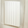 Radiateur Fonte NOIROT BELADOO Nativ 1000W blanc connecté INTUIS M153113