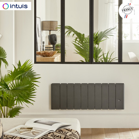 Radiateur Fonte NOIROT BELADOO Nativ Plinthe 750W gris anthracite connecté INTUIS M153422