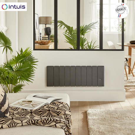 Radiateur Fonte NOIROT BELADOO Nativ 750W Bas Anthracite connecté INTUIS M153322