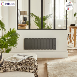 Radiateur Fonte NOIROT BELADOO Nativ 1000W Bas Anthracite connecté INTUIS M153323