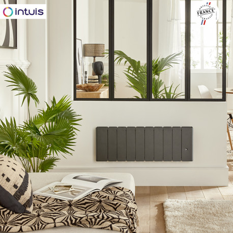 Radiateur Fonte NOIROT BELADOO Nativ 1500W Bas Anthracite connecté INTUIS M153325