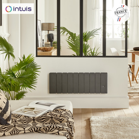 Radiateur Fonte NOIROT BELADOO Nativ Plinthe 1000W Anthracite connecté INTUIS M153423