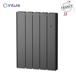 Radiateur Fonte NOIROT BELADOO Nativ 750W Anthracite connecté INTUIS M153122