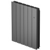 Radiateur Fonte NOIROT BELADOO Nativ 1000W Anthracite connecté INTUIS M153123