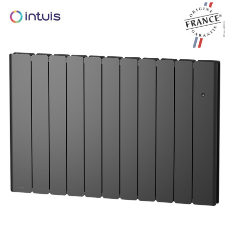 Radiateur Fonte NOIROT BELADOO Nativ 2000W Anthracite connecté INTUIS M153127